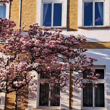 Ferienwohnung Rosi Naumburg  Eksteriør billede