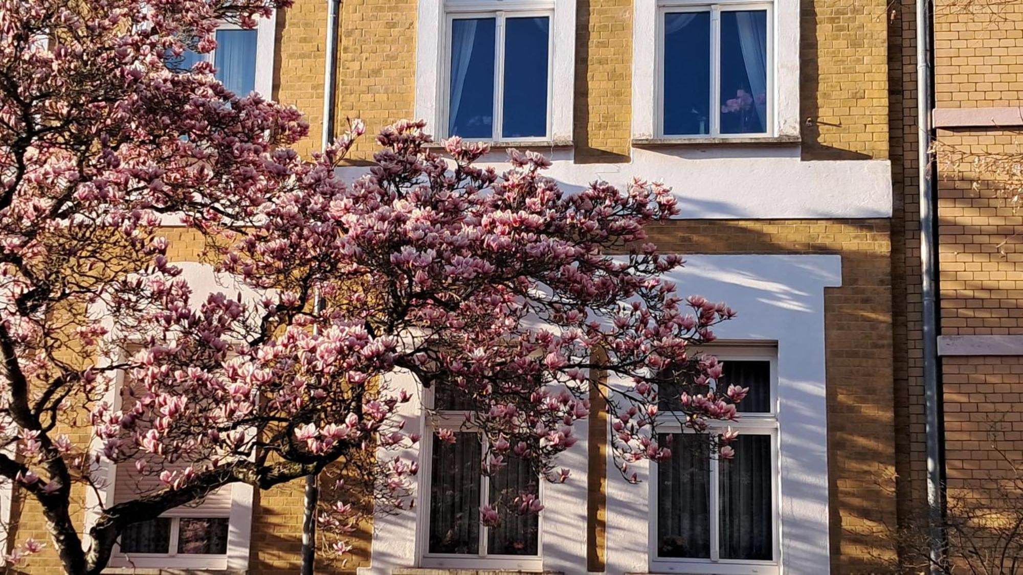 Ferienwohnung Rosi Naumburg  Eksteriør billede